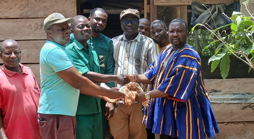 Bia East District Assembly Distributes Day-Old Chicks and Inputs under Government’s “Nkoko Nkitinkiti” Poultry Initiative