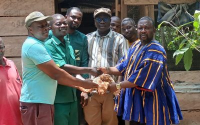 Bia East District Assembly Distributes Day-Old Chicks and Inputs under Government’s “Nkoko Nkitinkiti” Poultry Initiative
